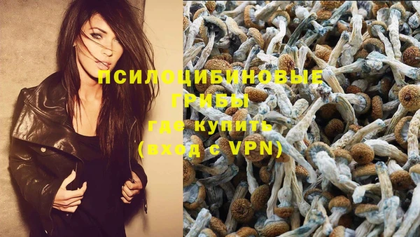 MDMA Новодвинск