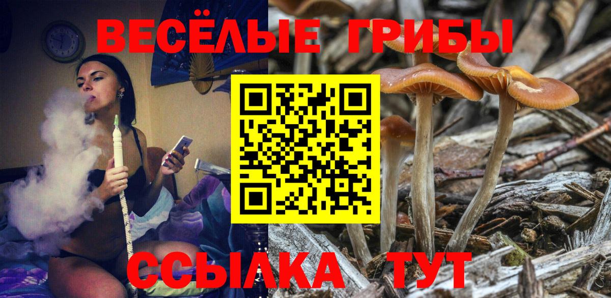 Псилоцибиновые грибы ЛСД Тобольск