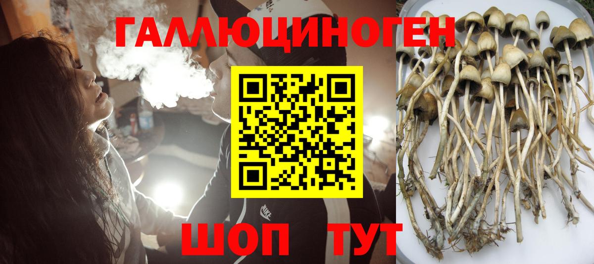 Тобольск  Галлюциногенные грибы Psilocybe  Вход с VPN 